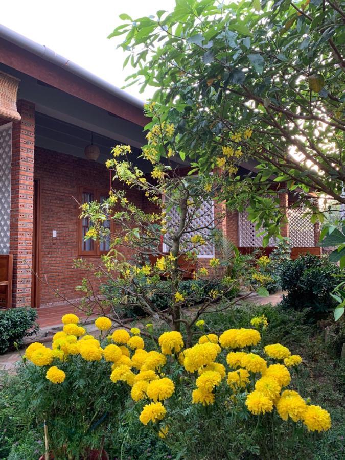 Sam Ong Lang Homestay Phú Quốc Eksteriør billede